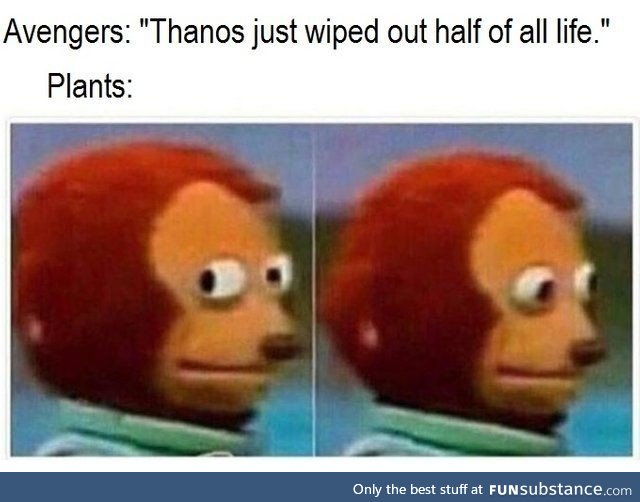 Gottem