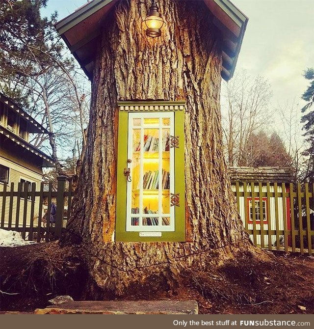 Librarian turns old growth tree stump into a neighborhood library