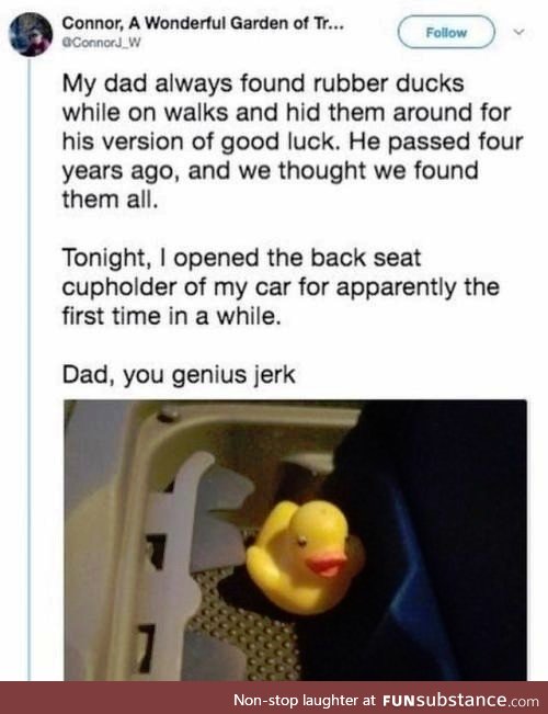 Ducks