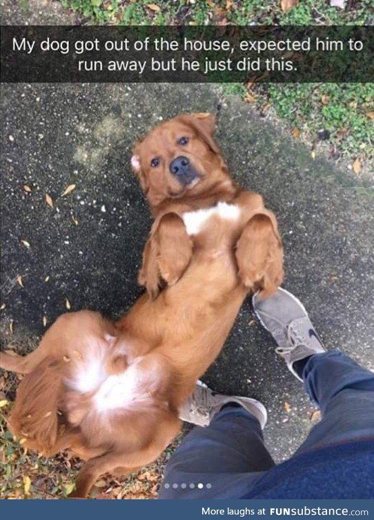 Such a good boi