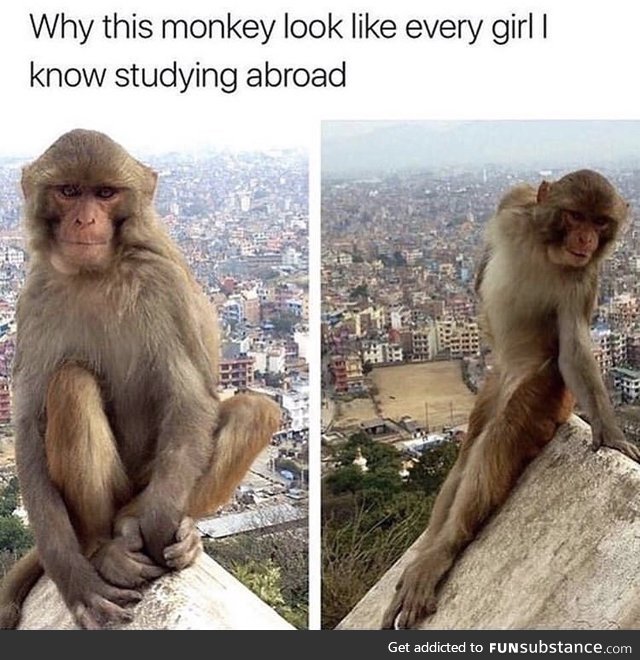 Super true