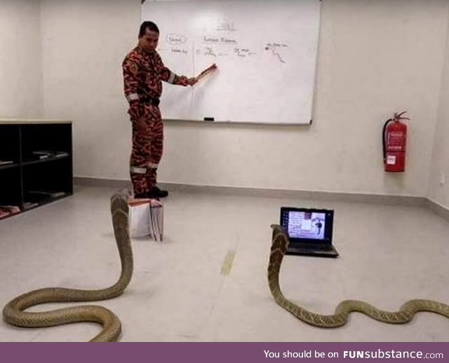 How to teach python