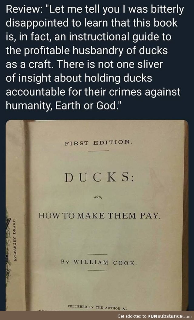 Ducks