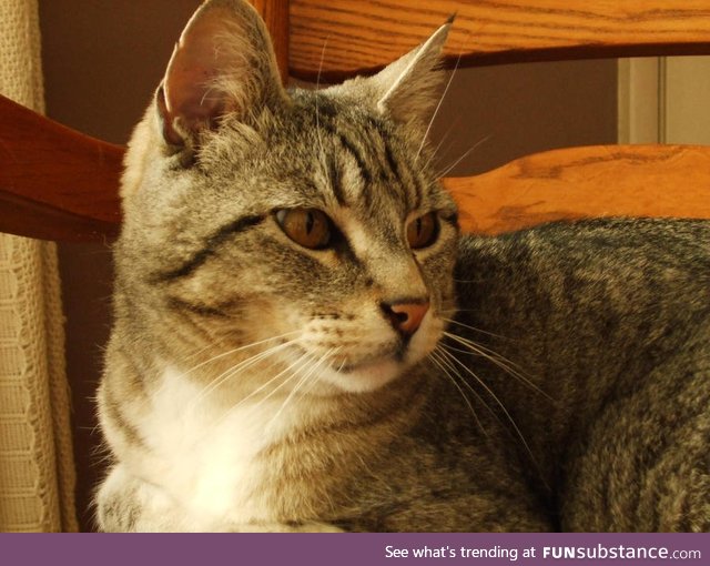 I had Mud for over 16 years. Miss him so much!