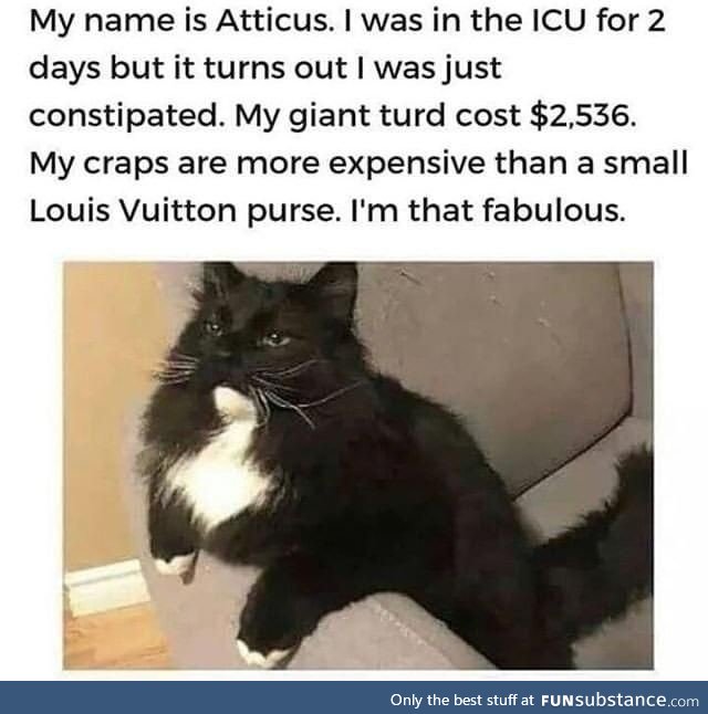 Fabulous creature