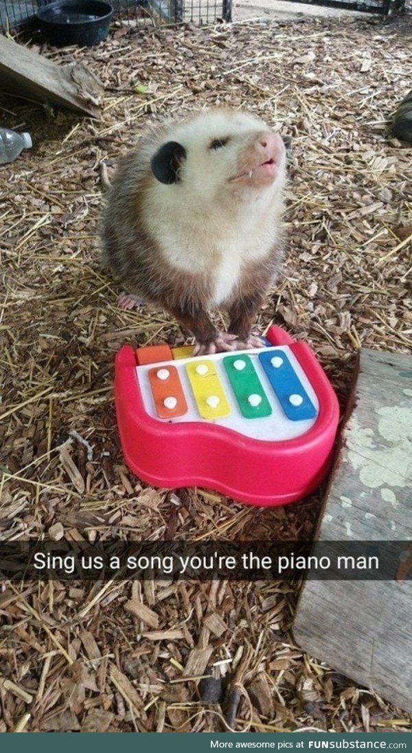 Sing us a song tonight