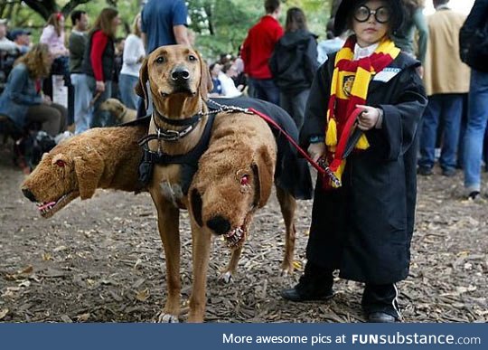 When your halloween costume is perfect