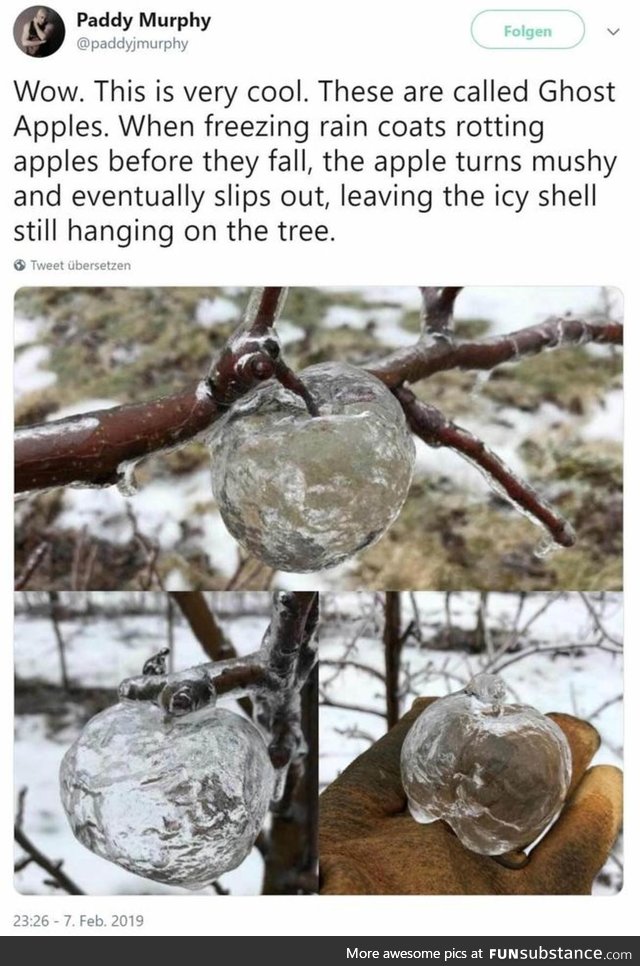 Nature