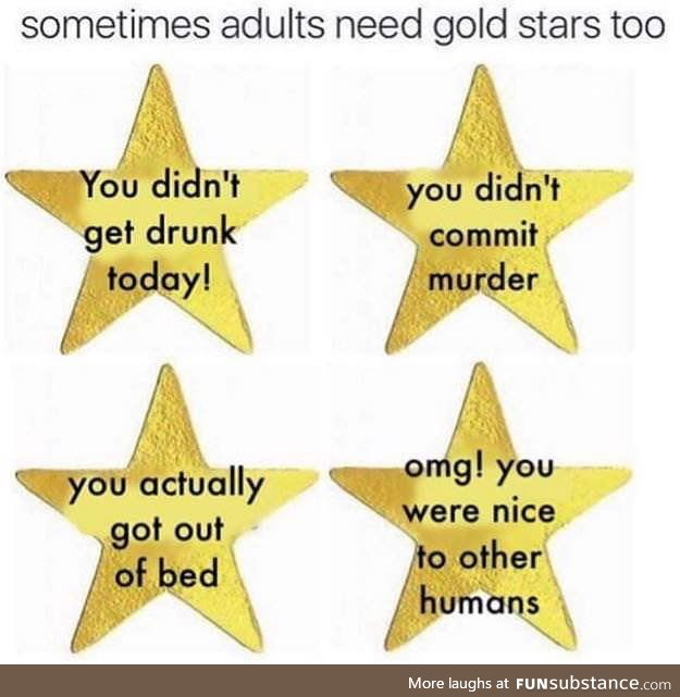 Gold Stars for Grad Students