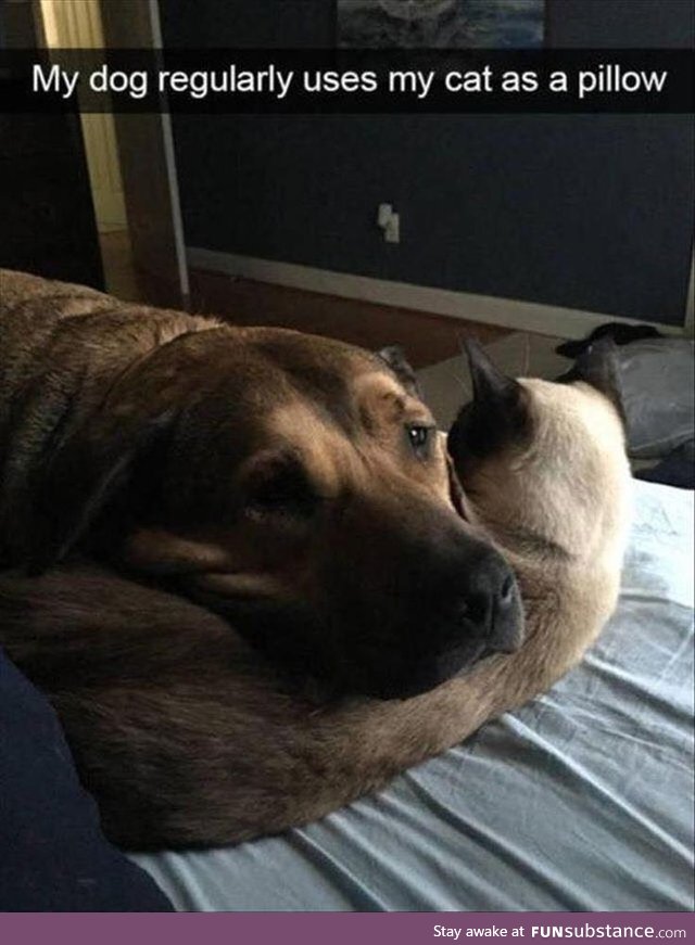 Best pillow