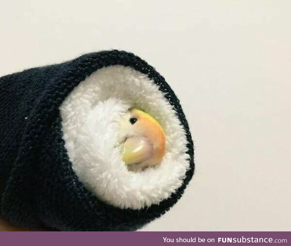 Forbidden sushi