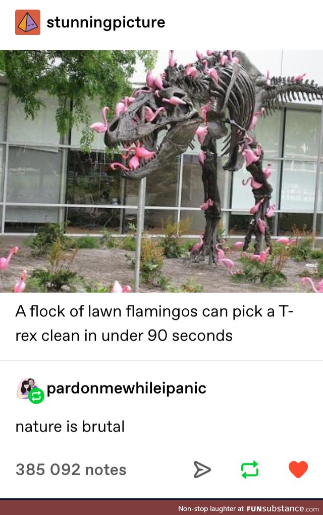 Nature at work