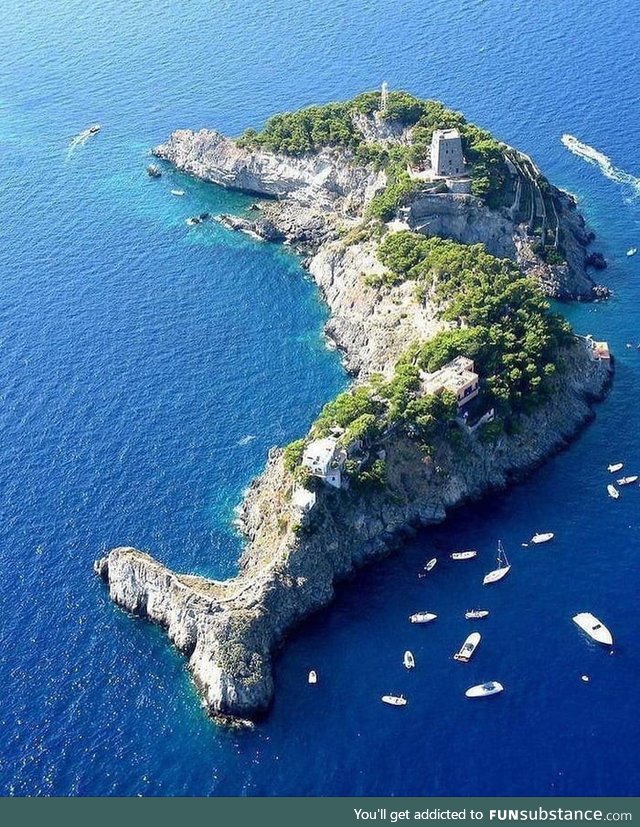 A dolphin shaped island in Italy