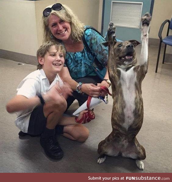 'Who's excited about being adopted?'