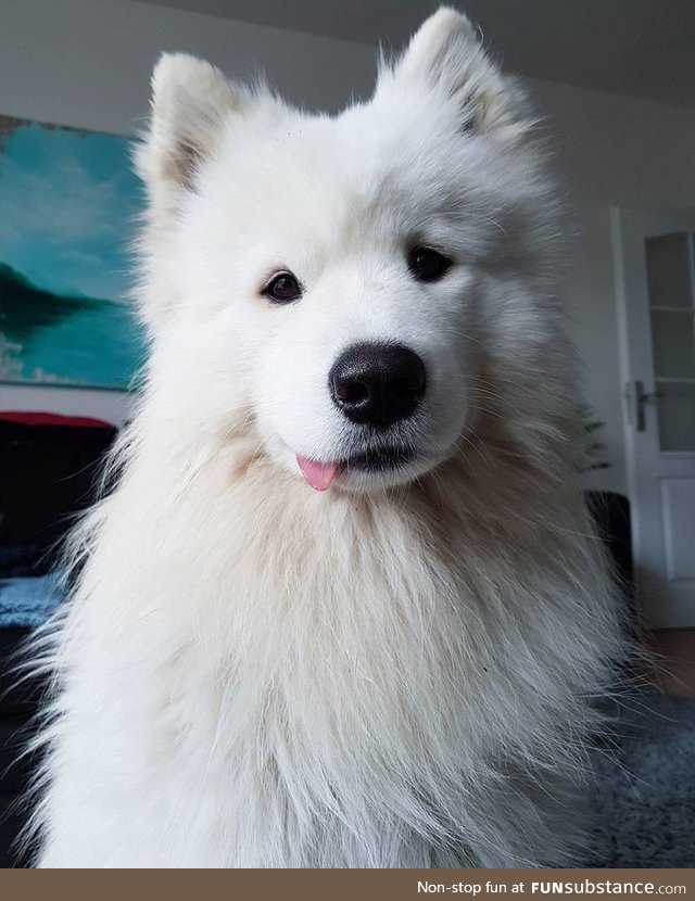 Cloud blep