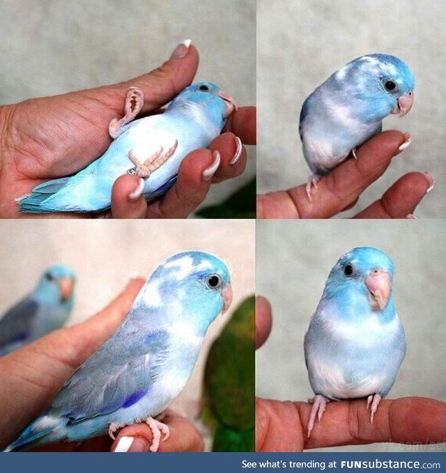 I love it,A piece of the sky in your hand