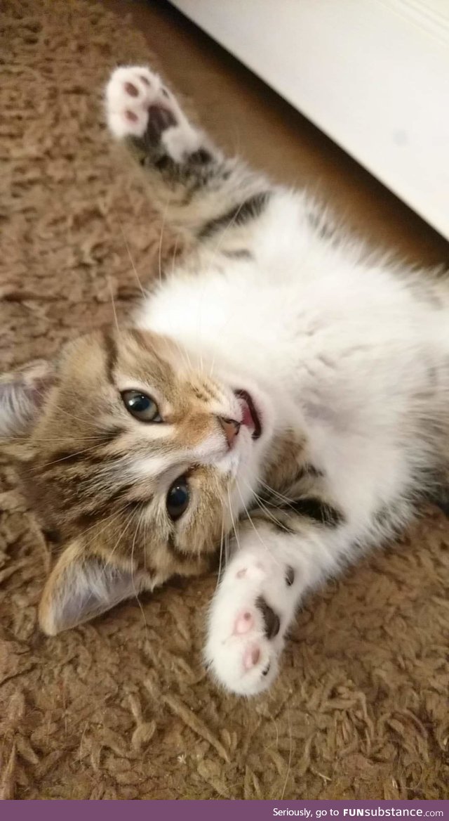 hello
