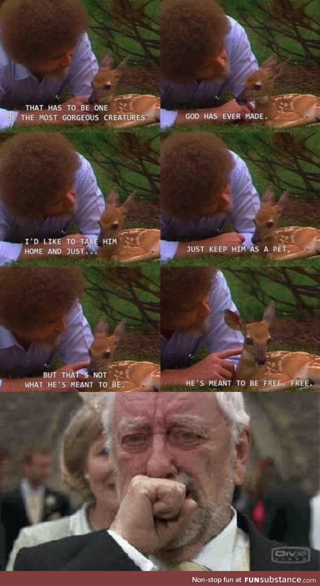 The Bob we needed