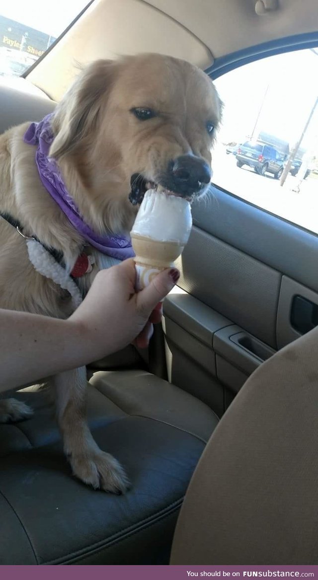 Angry icecream chomps