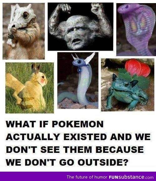 Real pokemons