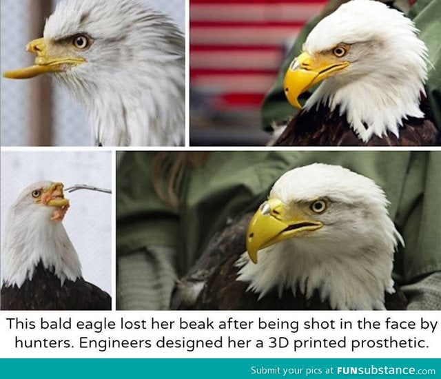 3D printed beak