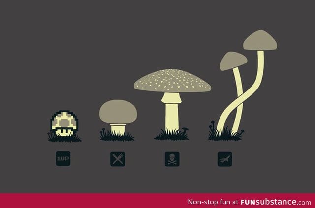 Know your mushrooms