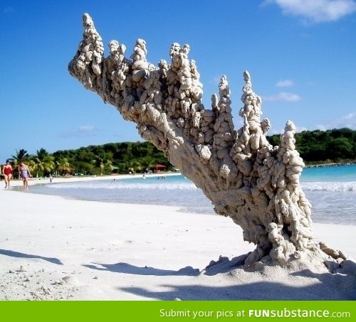 This is what happens when lightning strikes sand