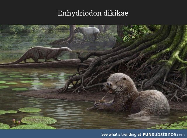 Daily Dose of Prehistory: Back from Extinction 74