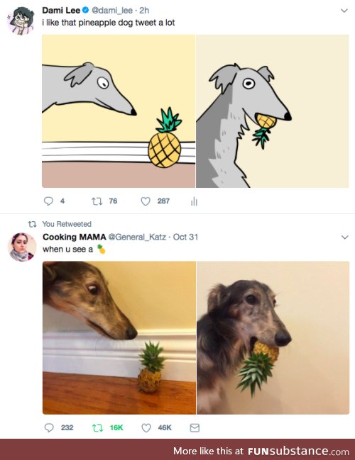 That Pineapple Dog Tweet
