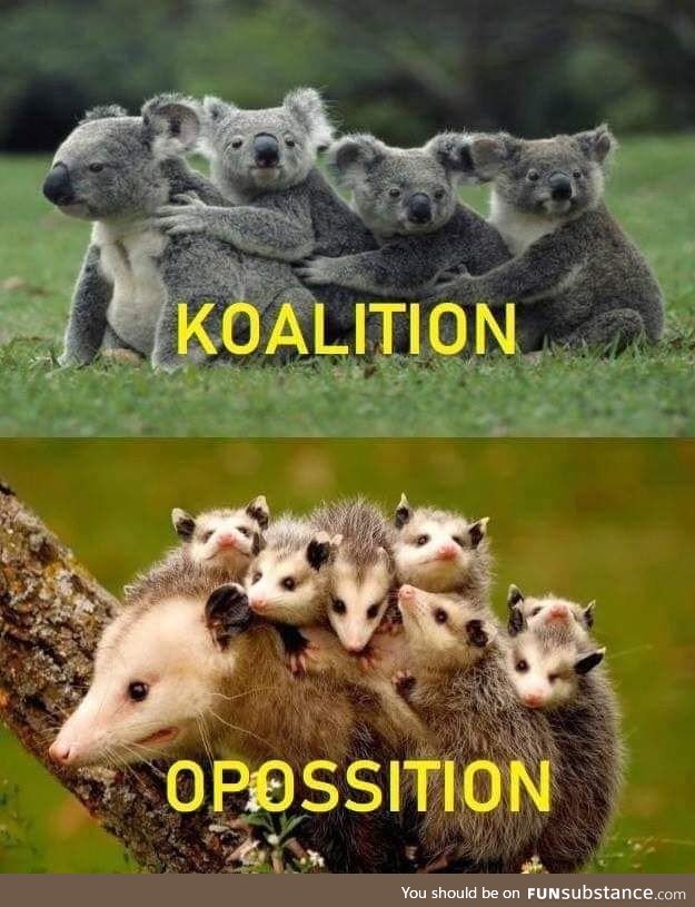 Which side are you? I prefer Koalition