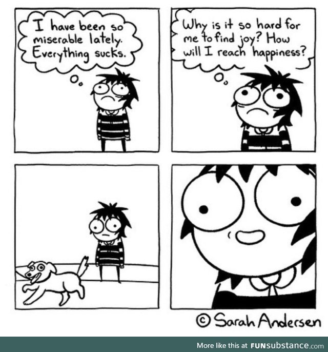 Dogs!