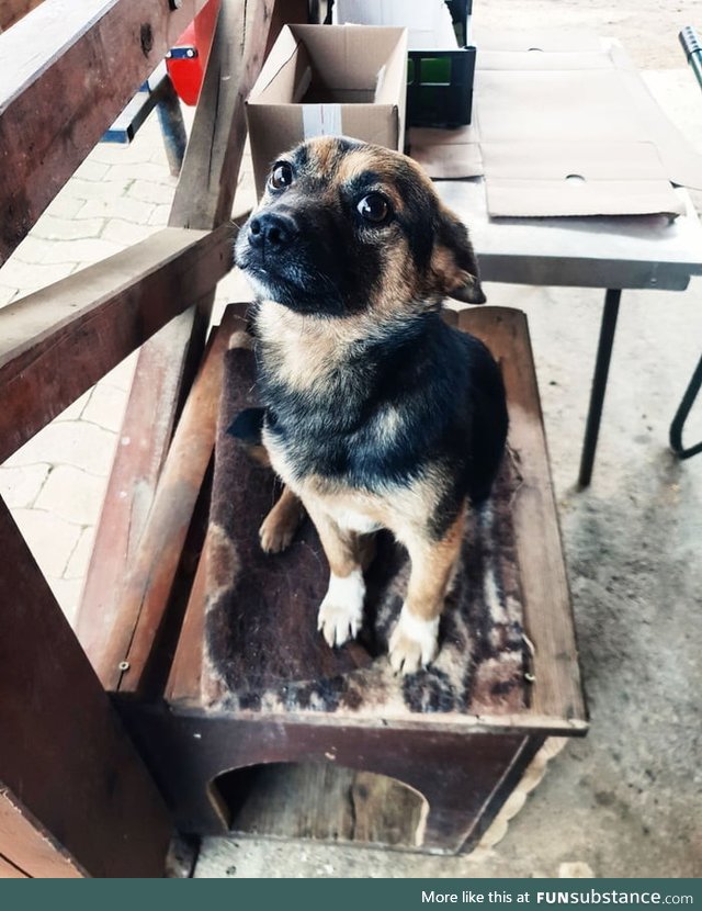 I found this little girl outside. I will keep her ;)