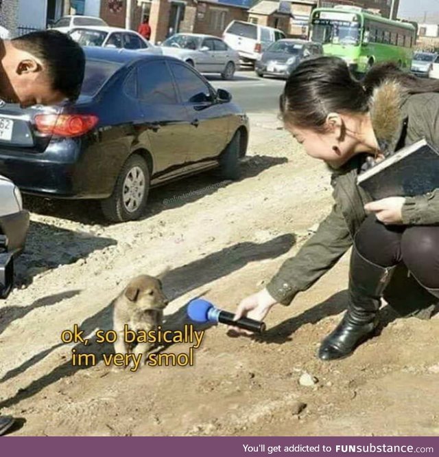 Very Smol
