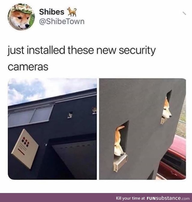 They protecc