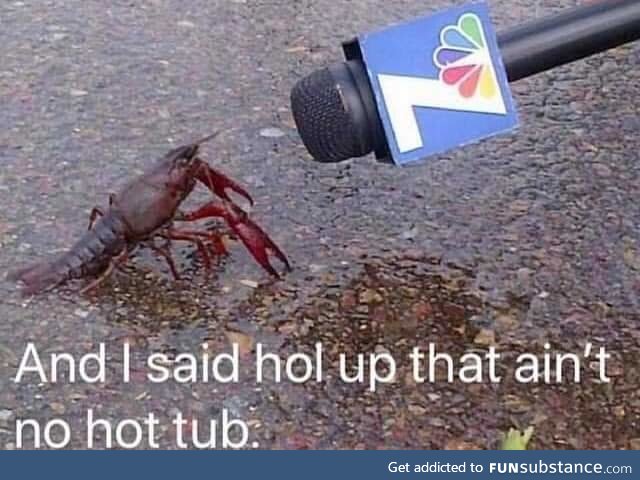 I ain't getting fool again