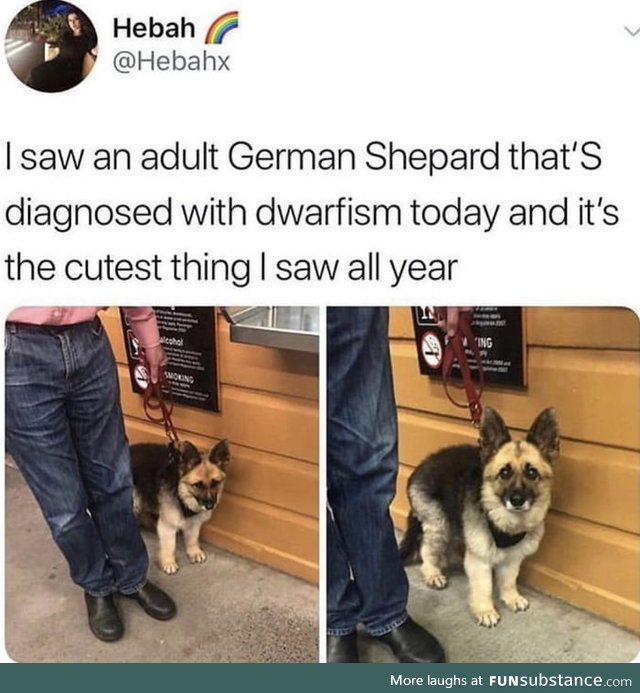 CUTENESS 100 !!