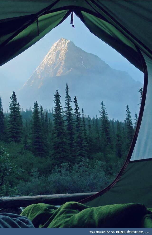 Lovely view from a tent