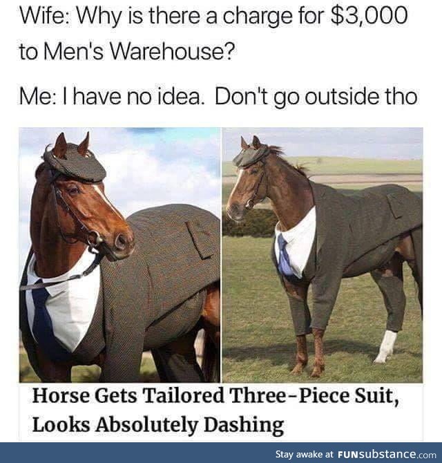 A dashing steed