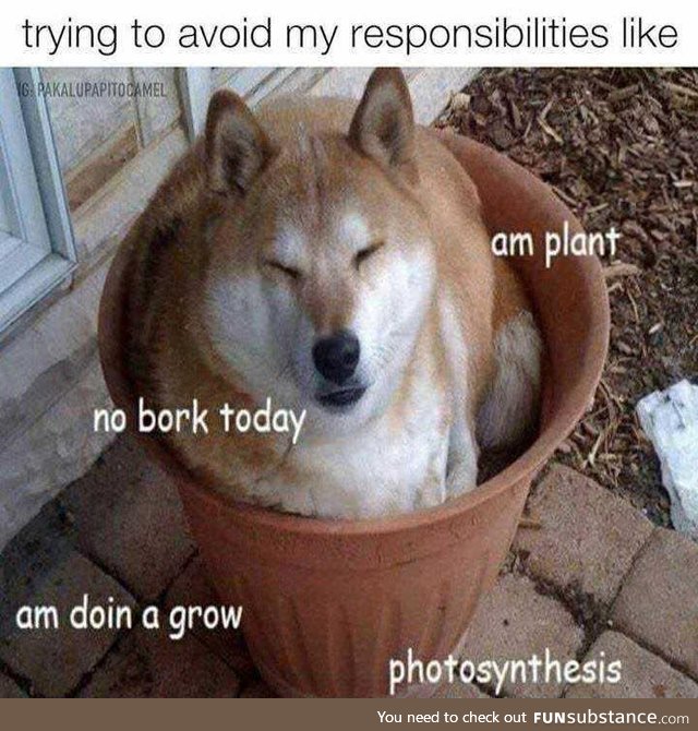 I will try this at the office