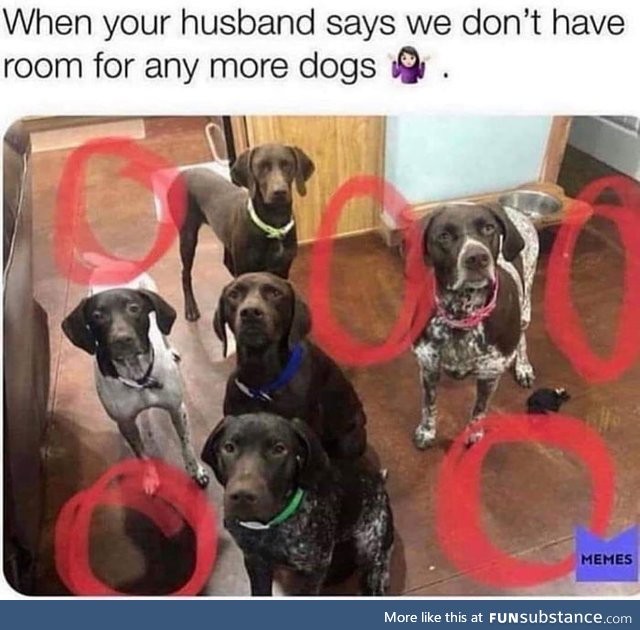 No more room for dogs