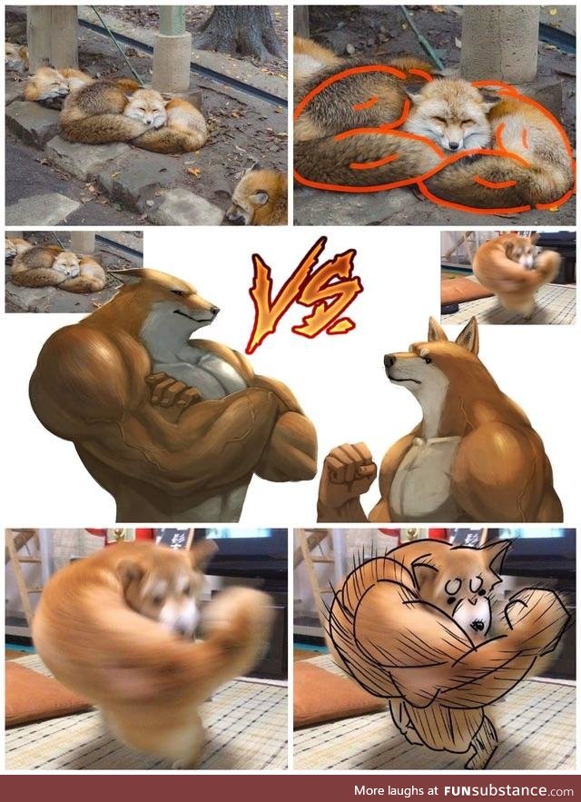 Battle of the century