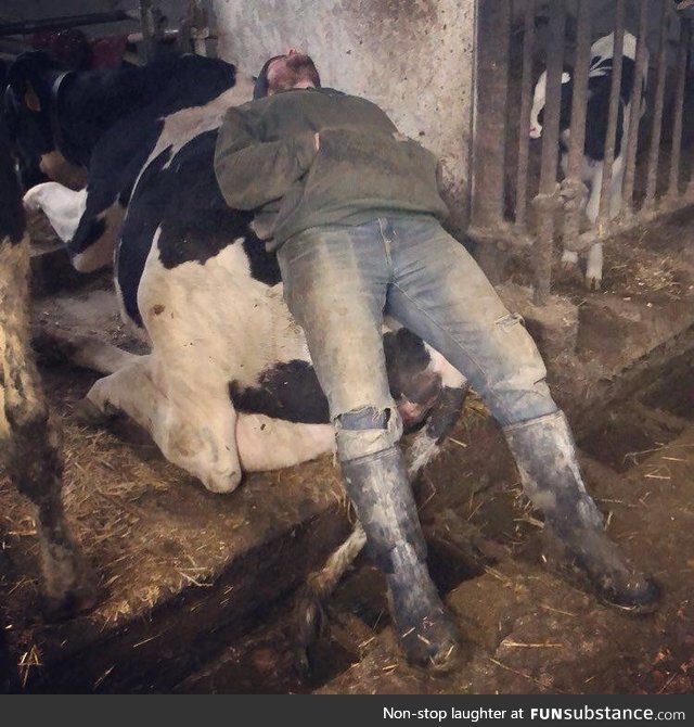 My sister caught her (very hard working dairy farmer) husband sleeping on the job