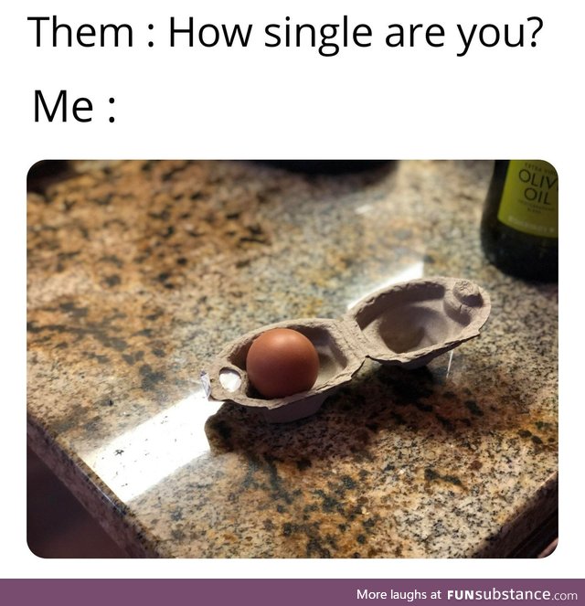 My life in an egg-shell