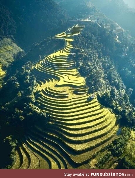 Sapa valley, vietnam