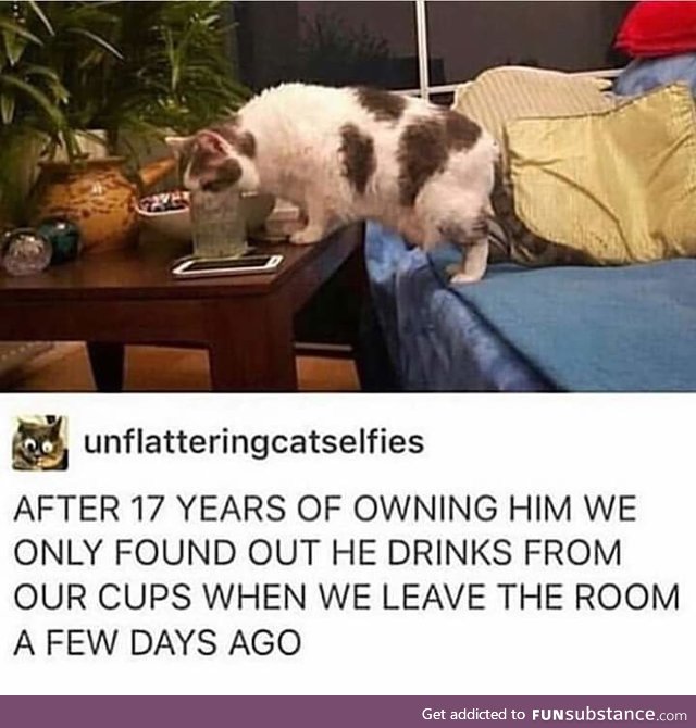 Sneaky boy