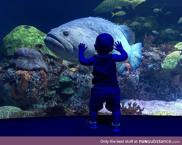 Got this shot of my son at the aquarium