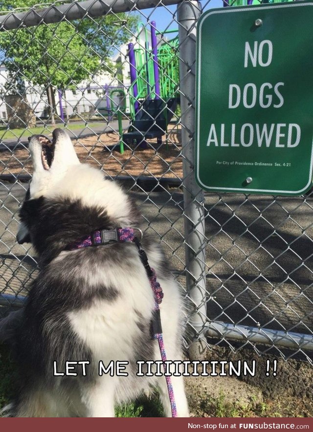 Let me in