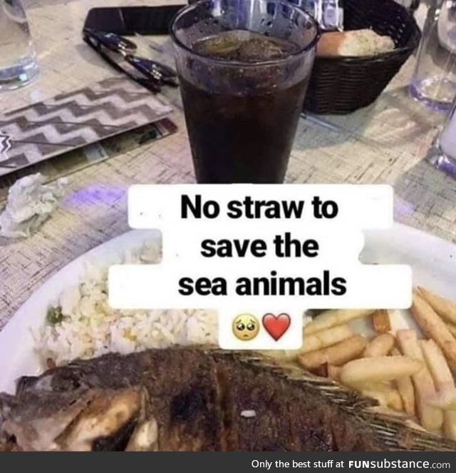 Saving the fish!