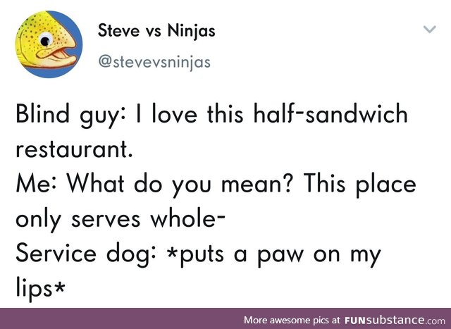 The problem with service dogs