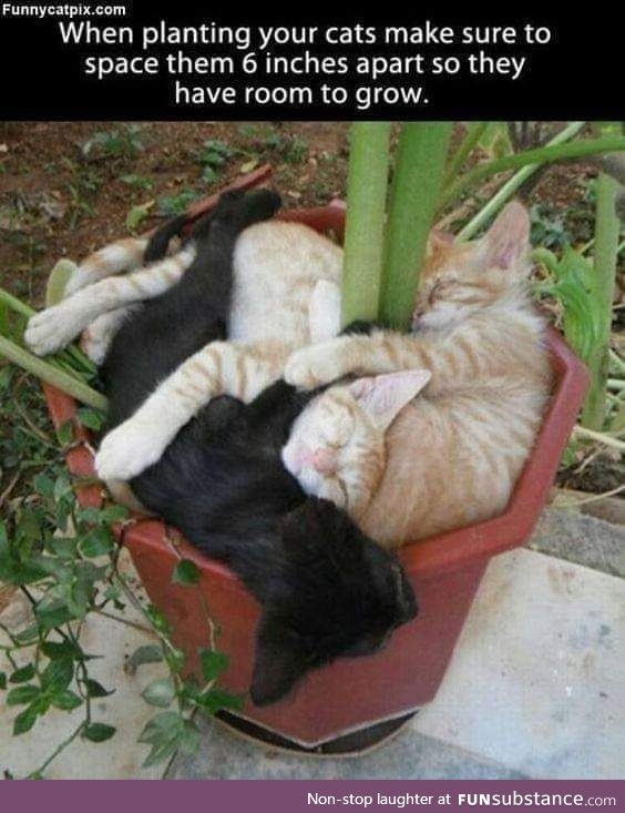 Always a good idea
